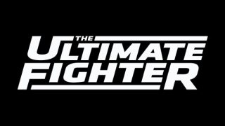 Watch The Ultimate Fighter Team Cormier vs Team Sonnen S33 E12 TUF 8/12/25