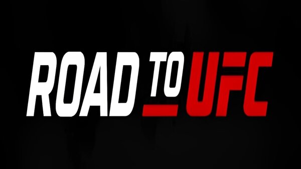 Watch Road To UFC Season 4 Episode 3 and 4