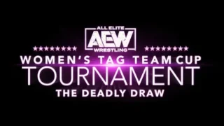 Night 3 Semi Finals – Watch AEW Womens Tag Team Cup Tournament 2020 8/17/20